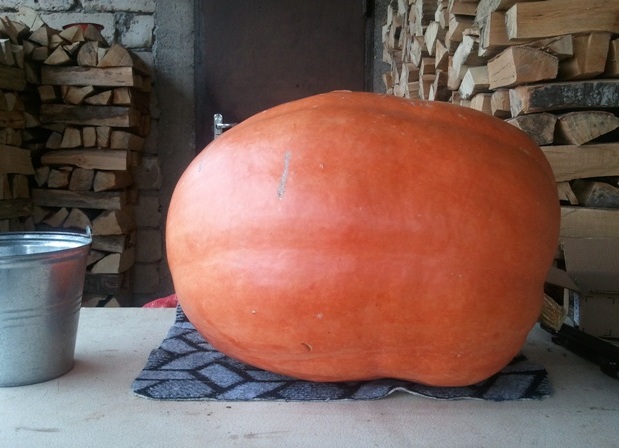 2012_10_11_10.21.32_1.jpg