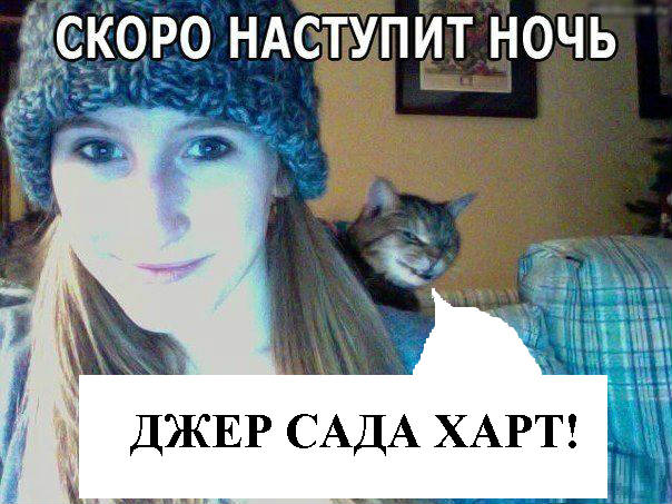 kata1.jpg