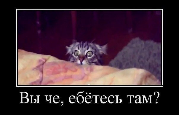 getImage.jpg