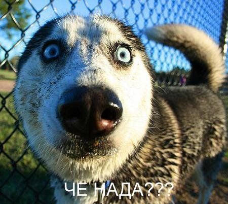 hey.ge__21_.jpg