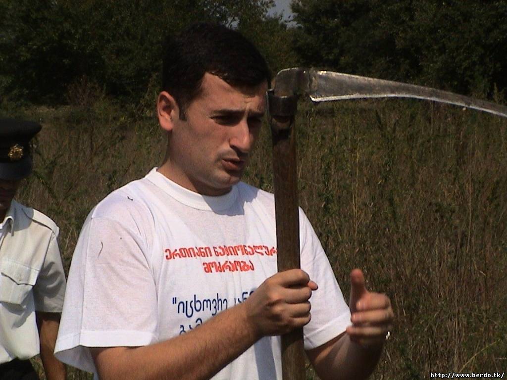 50917397.jpg
