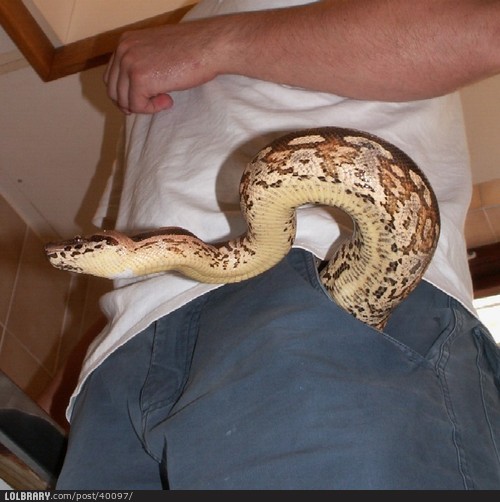 is_that_a_snake_in_your_pocket_or_are_you_just_happy_to_see_me_40097.jpg