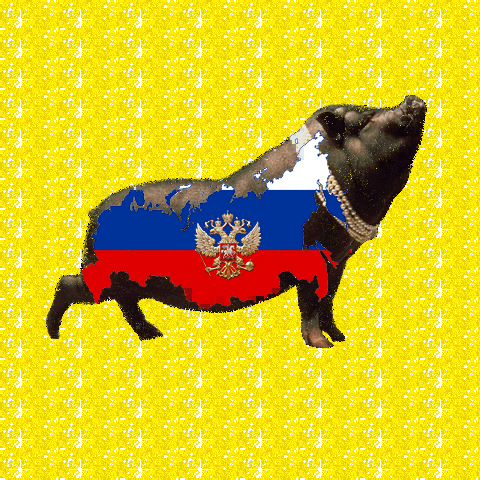 22563dcac91e.gif
