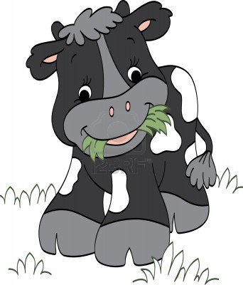 14525124_smiling_calf_chewing_on_grass.jpg