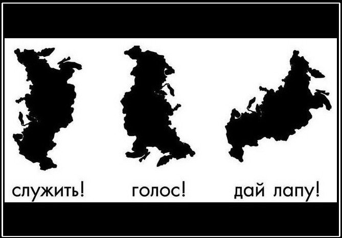 66680471_149595_166666550034820_100000744279853_401106_723222_n.jpg
