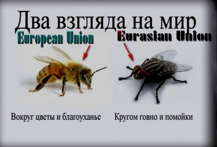 Два взгляда. Два взгляда на жизнь. Вокруг цветы и благоухание. Два взгляда на мир. Два взгляда на мир картинка.