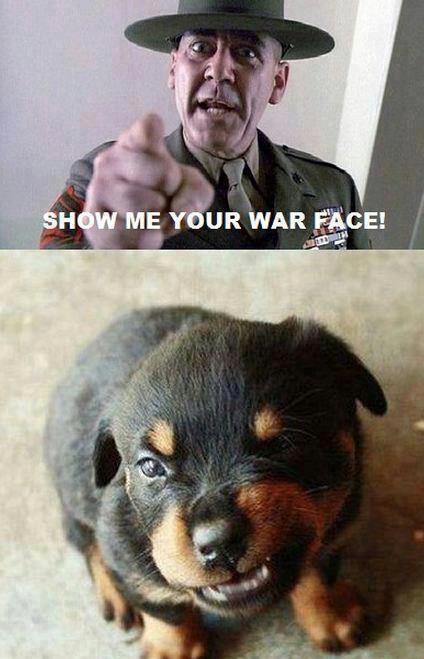 war_face.jpg