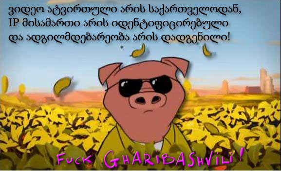 Garibov_Hog.jpg