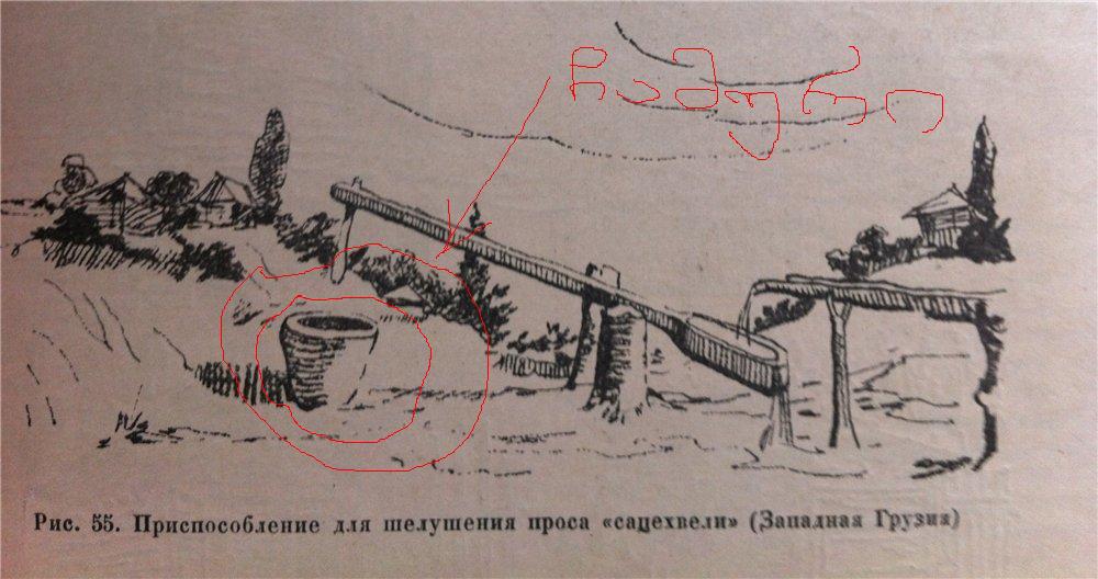 chamuri1.JPG