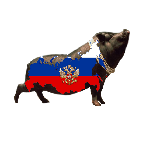 clinnnnnnn_pig_mikro.png