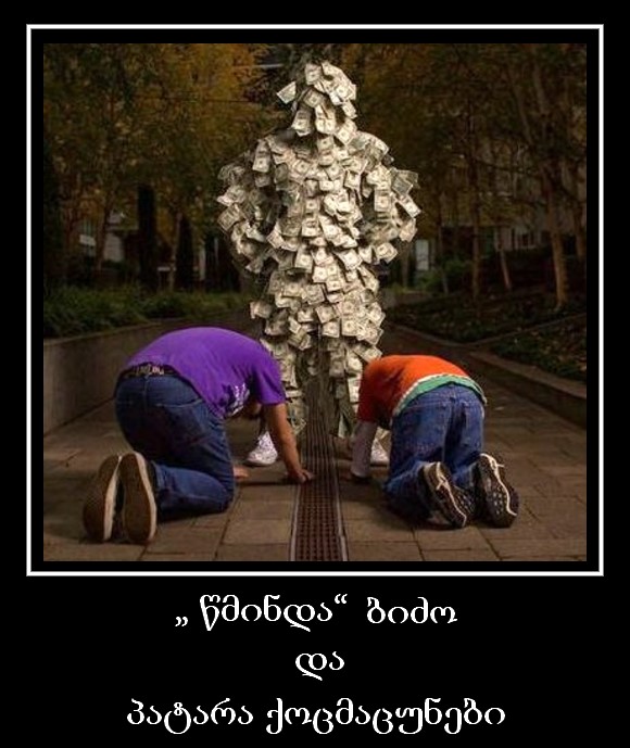 qoco.jpg