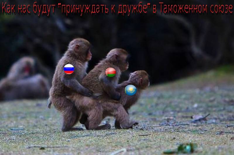 9e64d16e2bedd.jpg