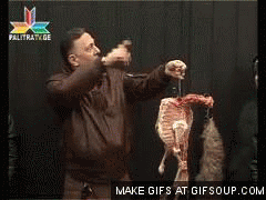shaliko_o.gif