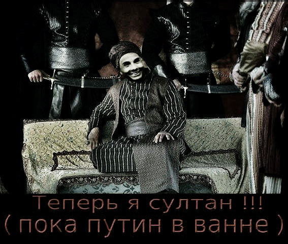 shaviiii.jpg