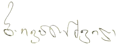 Ivanishvili_signature__new_.png