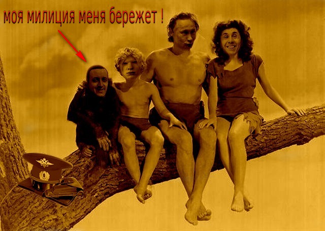 mederes.jpg