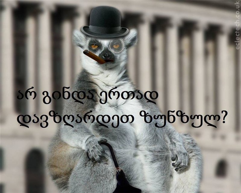 ______________________________.jpg