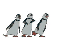 6b36c7feb5ed8aac5d23d6f58a0e85ca.gif
