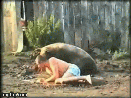 4twma.gif
