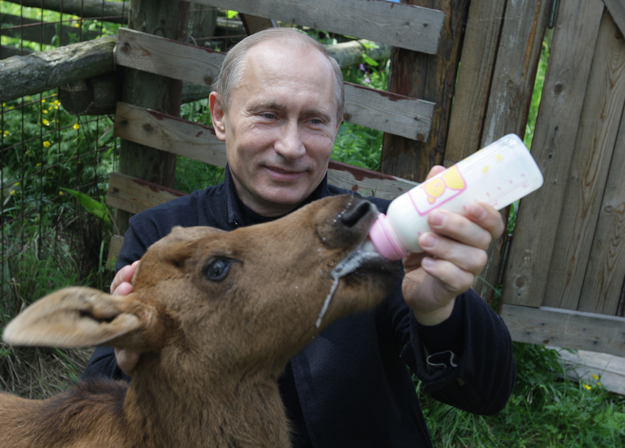 putin_2.jpg