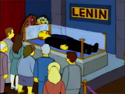tumblr_m3pvz8eWgx1qg6rkio9_r1_250.gif