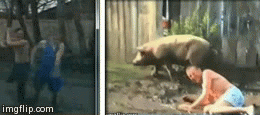 5f7l6.gif