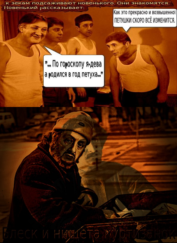 kamo.png