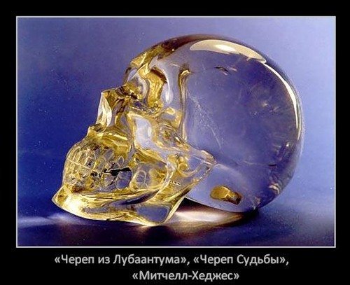 5329f1462687.jpg