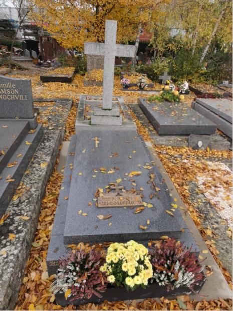sinjikeli_dimitri__jvridan_marcxniv.JPG