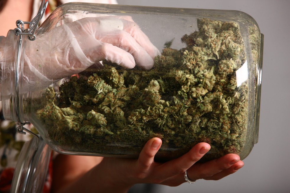 Colorado_Cannabis_staver_0881362524946_image_982w.jpg