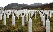 220px_Srebrenica_massacre_memorial_gravestones_2009_1.jpg
