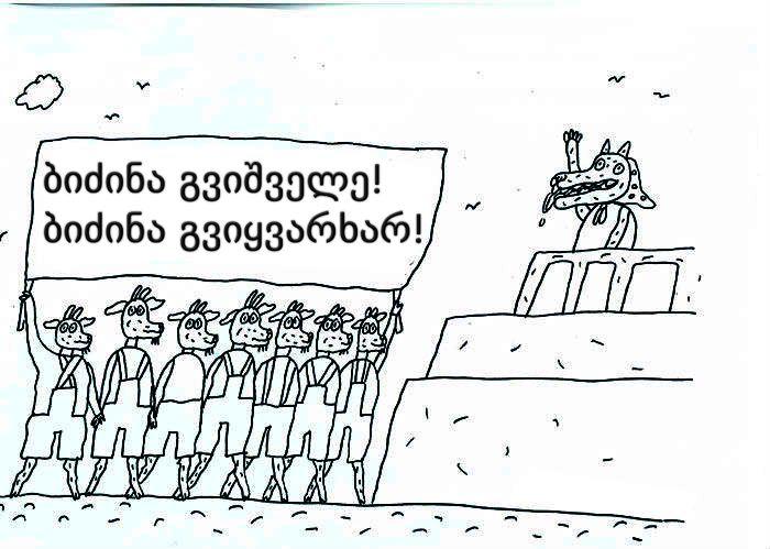 bidzina000.jpg