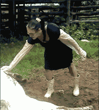 xxxxxx.gif