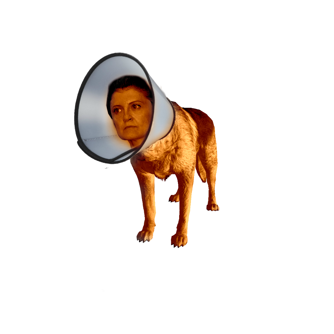 huu9990.png