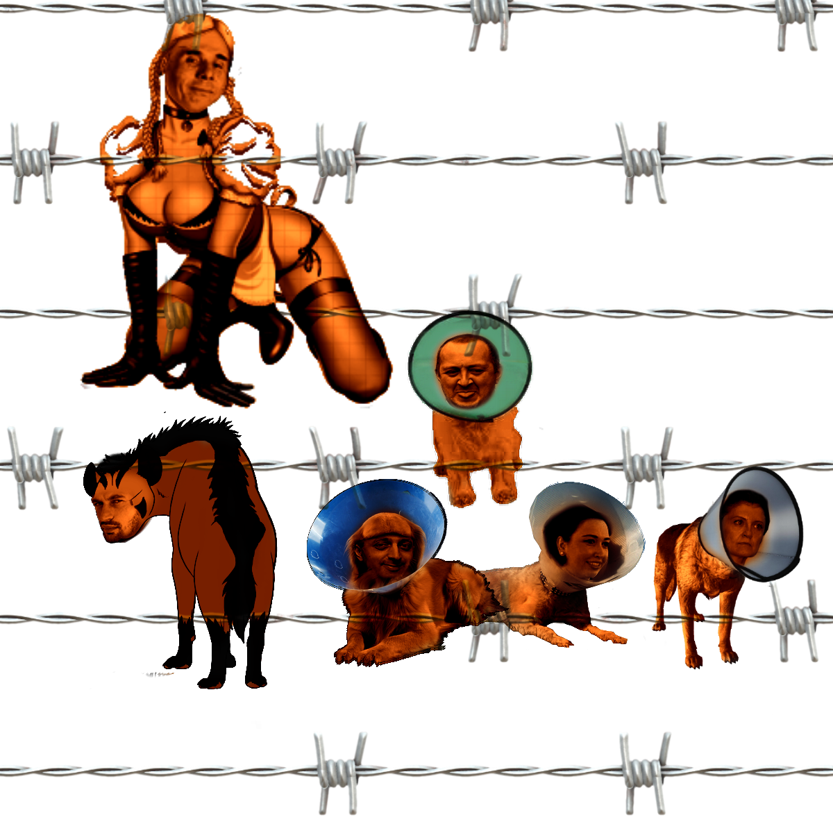 ommmrer.png