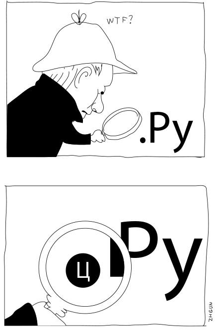 zhgun.jpg
