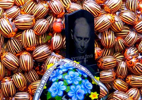 vladimir_pu.jpg