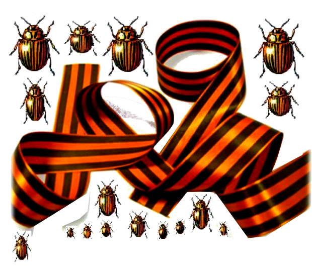collo.png