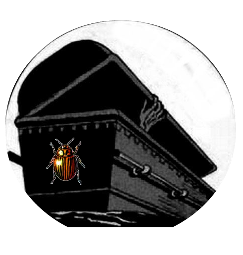 fffdaaaewq7777.png