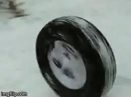 8u2w5.gif