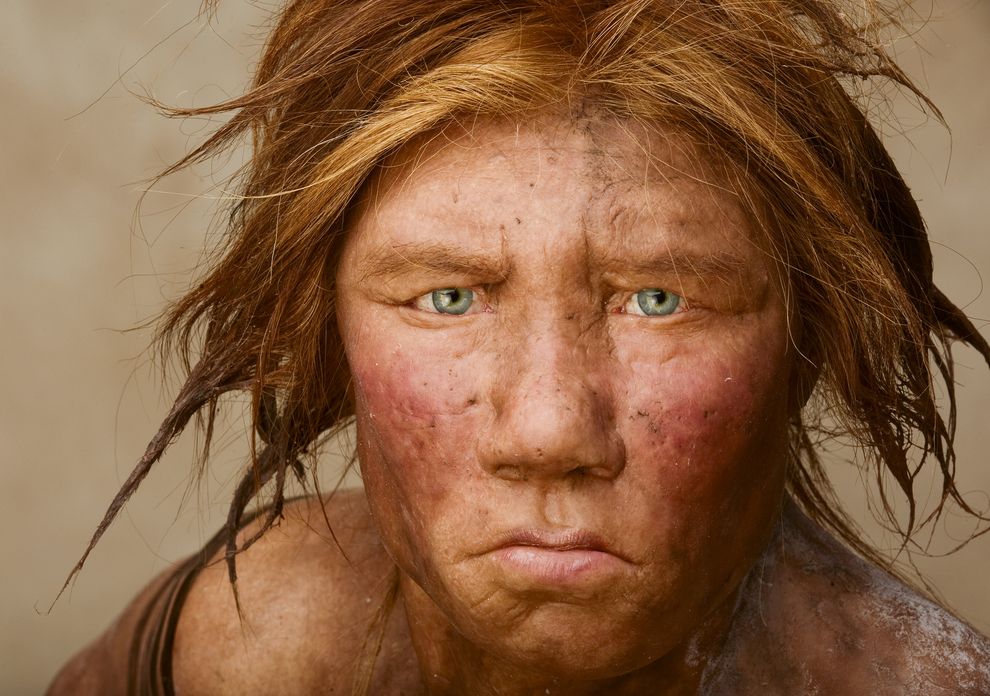 neanderthal.jpg
