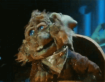 tumblr_m5dw4qKNVR1qah0dho1_400.gif