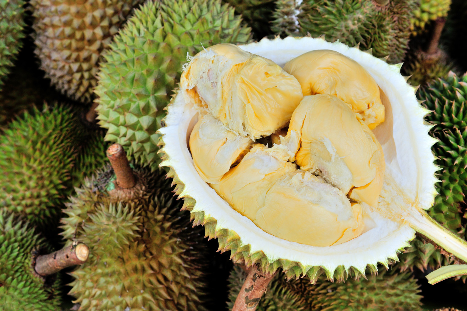 Durian.jpg