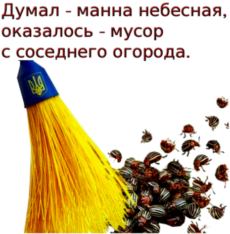 donbabve.png