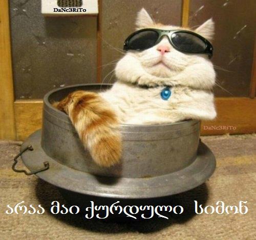 post_55_1355689798.jpg