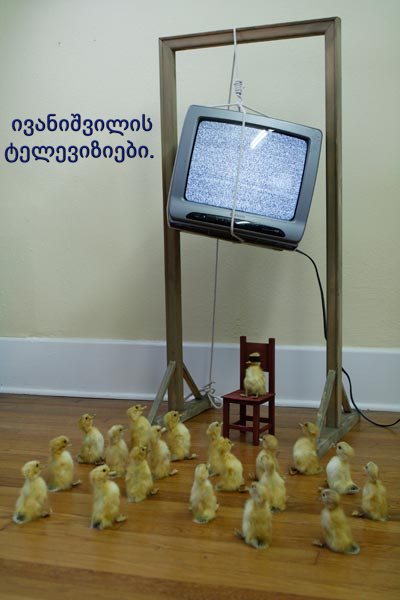 oo6_400.jpg