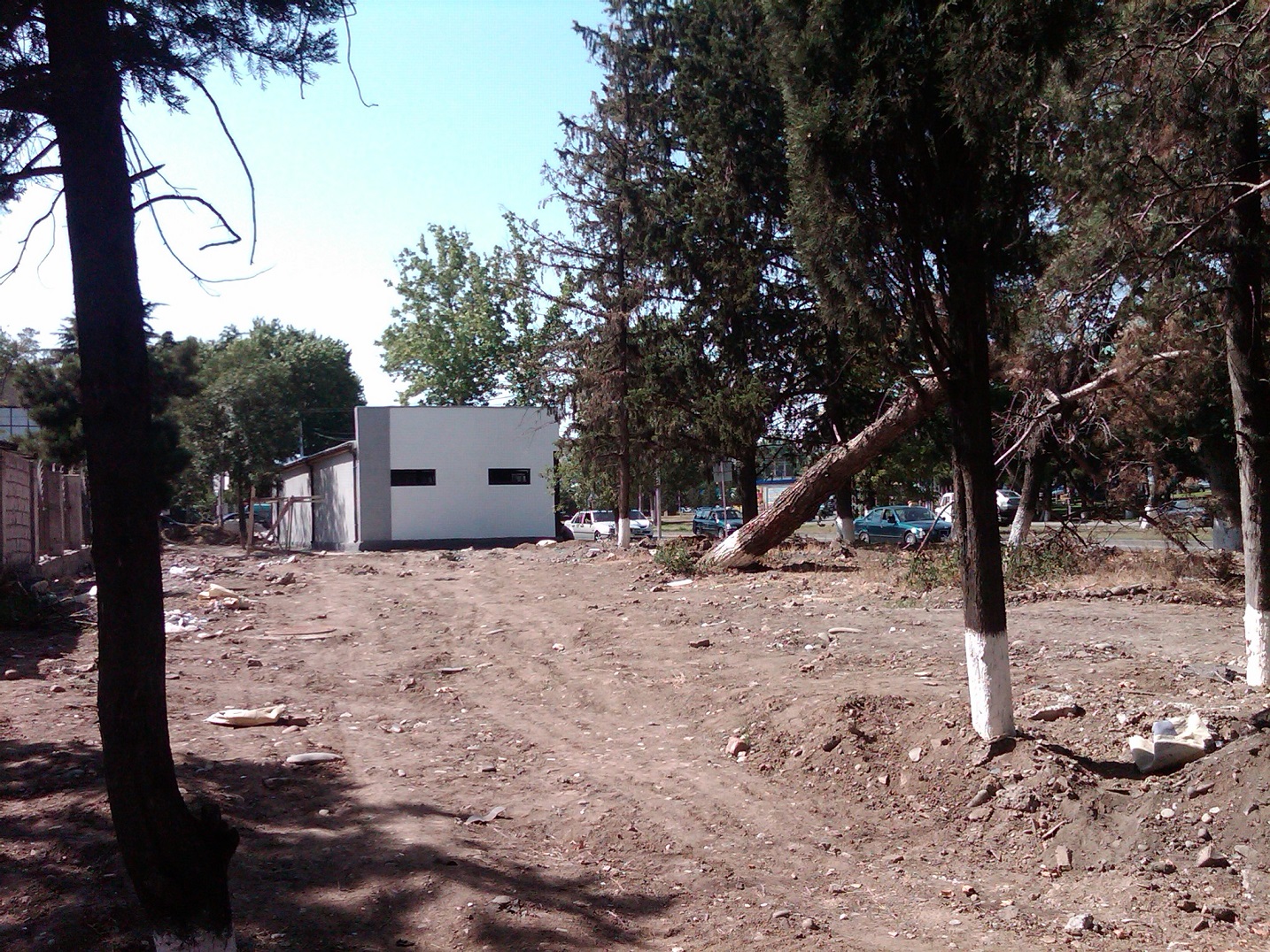 IMG00041_20140704_1555.jpg