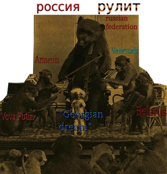 41_pexnidy.jpg