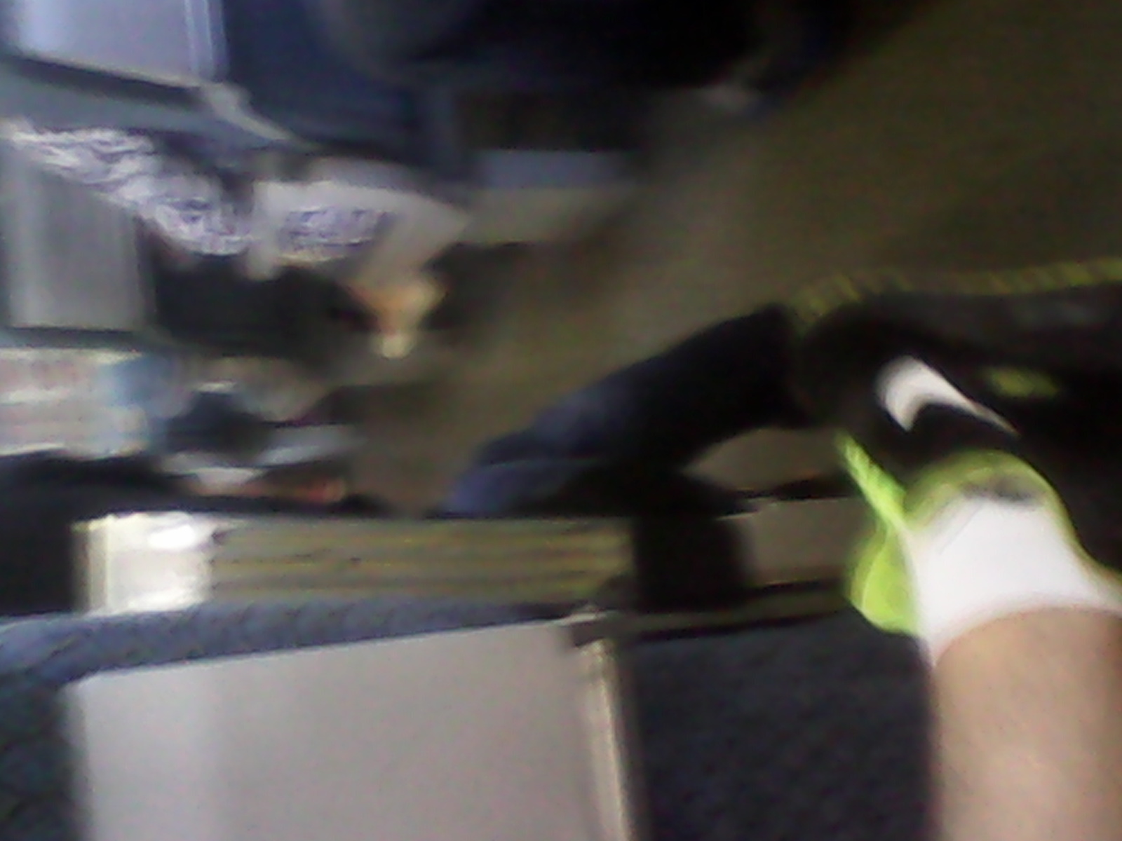 IMG_20140810_083912.jpg