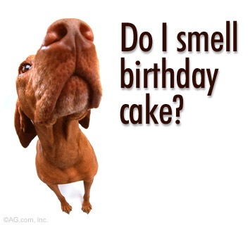 happy_birthday_new_3_.jpg